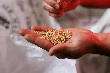 Dalam ayat 264, Allah menegaskan agar setiap orang beriman tidak merosakkan pahala sedekah mereka dengan sikap menunjuk-nunjuk (riyak) atau mengungkit. 