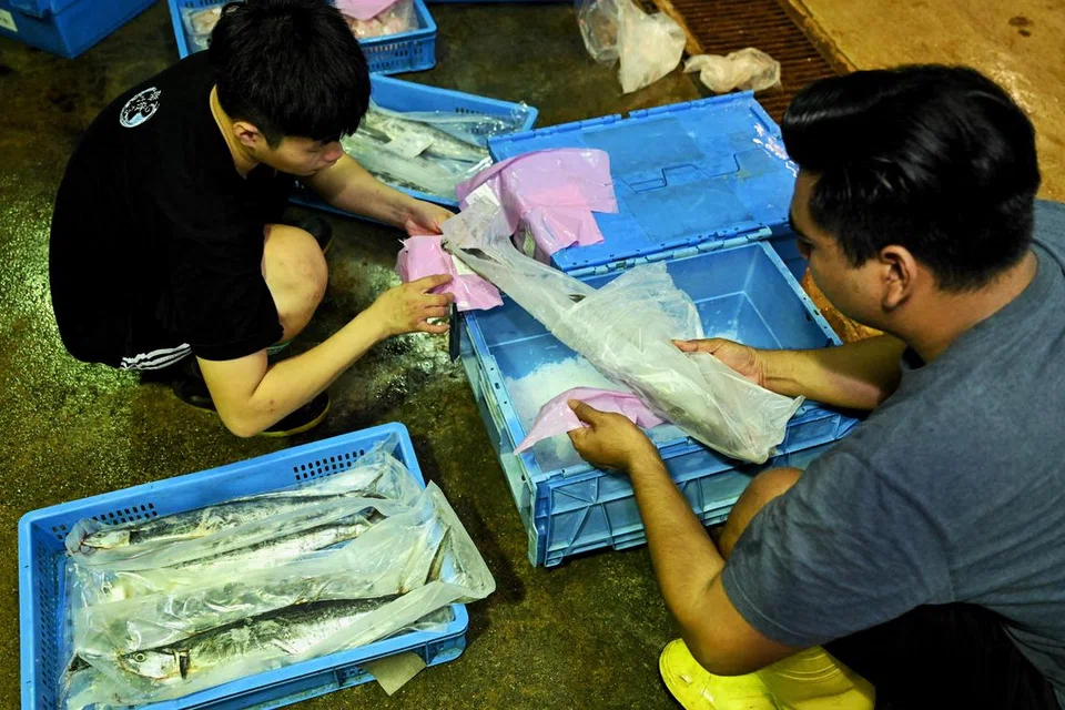 BIAR SEGAR: Makanan laut dimasukkan dalam bungkusan vakum untuk mengekalkan kesegarannya 