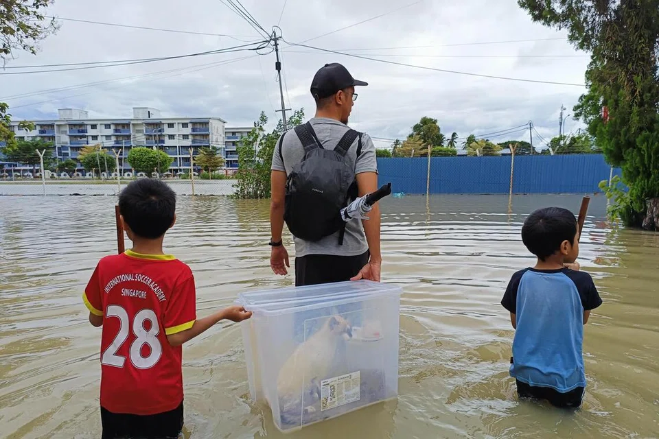 banjir, Singapura, keluarga, Perlis