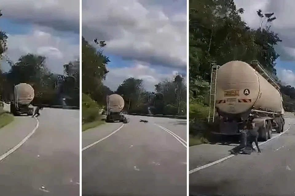 Seorang pemandu lori parah di muka selepas dipercayai diserang harimau kumbang di tepi jalan dekat Bukit Tangga, Negeri Sembilan. Tangkap layar tular