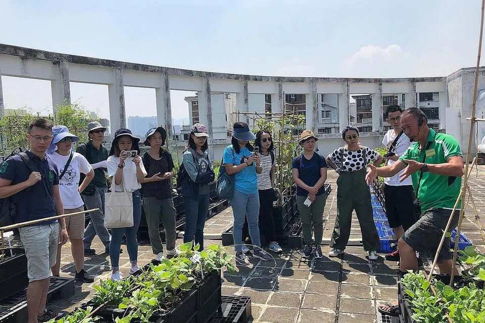 DEKAT DENGAN ALAM SEMULA JADI: Seorang penyelaras Rooftop Republic memberi taklimat kepada para peserta yang menyertai program berkebun di atas bumbung pencakar langit di Hongkong.