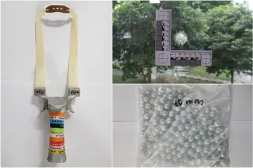 SENJATA LASTIK: Lelaki berusia 36 tahun didakwa menembak pelet logam dan tanah liat gunakan lastik ke arah burung dan tingkap dapur sebuah flat HDB.