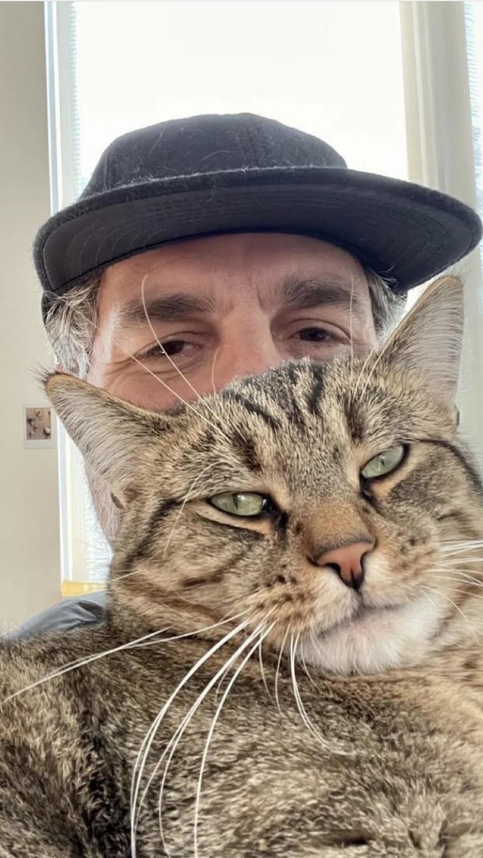 Pelakon Amerika Syarikat, Mark Ruffalo, terkenal sebagai pencinta kucing dan memiliki lima ekor kucing.