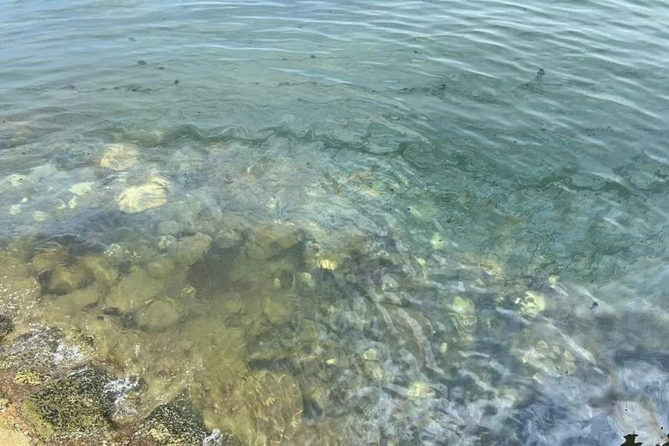 Beberapa terumbu karang yang berubah putih juga ditemui di perairan cetek Pulau Lazarus pada 16 Jun. Satu tompokan minyak kelihatan terapung di atas terumbu karang itu.