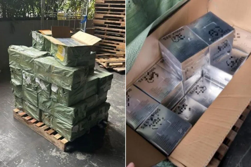 Dalam kes pertama pada 28 Februari, HSA menyiasat penghantaran e-rokok yang ditemui di sebuah gudang di Sungei Kadut.