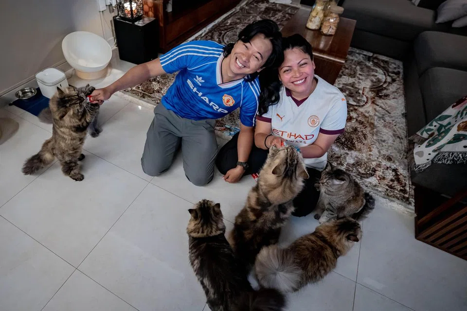 Sejak kecil, pasangan suami isteri, Encik Muhammad Yusri Rohman dan Cik Siti Sufea Sa’adon, merupakan pencinta kucing.