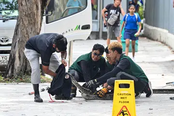 Empat pekerja kontraktor NParks berjaya menangkap seekor ular sawa dipercayai seberat 10 kilogram dari longkang di Lorong 1 Toa Payoh sekitar 2.10 petang pada 6 Mei.