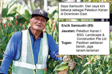 TAMBAH GAJI: Hasil PWM, gaji Encik Ssamsudin telah meningkat 30 peratus sejak mula bekerja sebagai pekebun pada 2012.