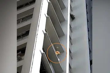 Agensi Sekitaran Kebangsaan (NEA) berkata kedua-dua adalah pesalah kali pertama yang disabit kesalahan dianggap membuang sampah dari tempat tinggi kerana gagal kemuka bukti. 