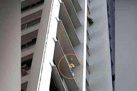 Agensi Sekitaran Kebangsaan (NEA) berkata kedua-dua adalah pesalah kali pertama yang disabit kesalahan dianggap membuang sampah dari tempat tinggi kerana gagal kemuka bukti. 