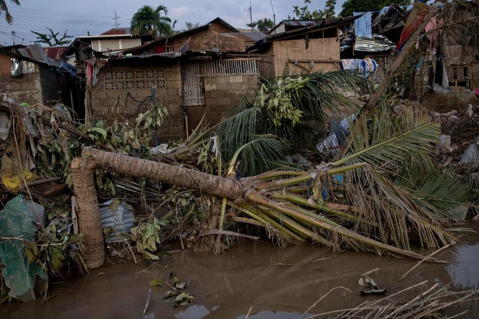 Beberapa batang pokok tumbang kelihatan di kawasan kejiranan yang musnah selepas banjir besar akibat Taufan Kalmaegi menghanyutkan deretan rumah di Talisay, wilayah Cebu, Filipina, pada 6 November 2025. 