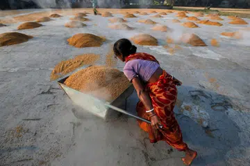 LARANG EKSPORT: Seorang pekerja membawa beras di  Kolkata, India.