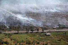 Foto hiasan kebakaran hutan di Banjarmasin, Kalimantan Selatan. - Foto REUTERS/WILLY KURNIAWAN