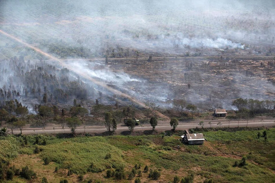 Foto hiasan kebakaran hutan di Banjarmasin, Kalimantan Selatan. - Foto REUTERS/WILLY KURNIAWAN