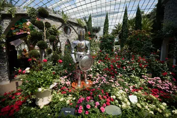  ‘Rose Romance’, Gardens by the Bay 