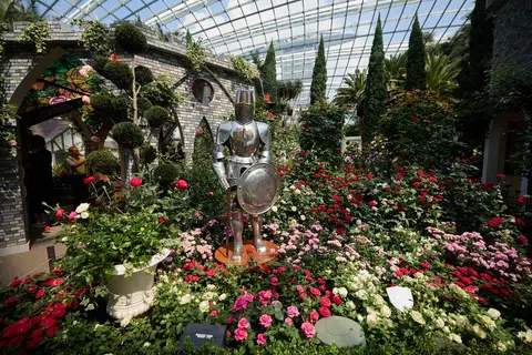  ‘Rose Romance’, Gardens by the Bay 