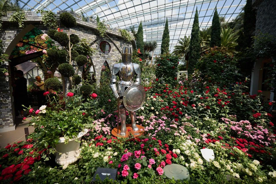  ‘Rose Romance’, Gardens by the Bay 