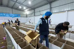 Anggota lembaga pengarah Mercy Relief, Encik Chairul Fahmy Hussaini (kiri); pengerusi Mercy Relief, Encik Satwant Singh; dan Timbalan Ketua Misi Singapura ke Mesir, Encik Kenny Tan (kanan berjaket hitam) bersama petugas lain menyiapkan 20,000 kotak makanan yang disediakan Mercy Relief di gudang operasi kemanusiaan GDD di Ismailia bagi penghantaran menerusi sempadan Rafah untuk dimanfaatkan 800 keluarga di Gaza sempena Ramadan ini.