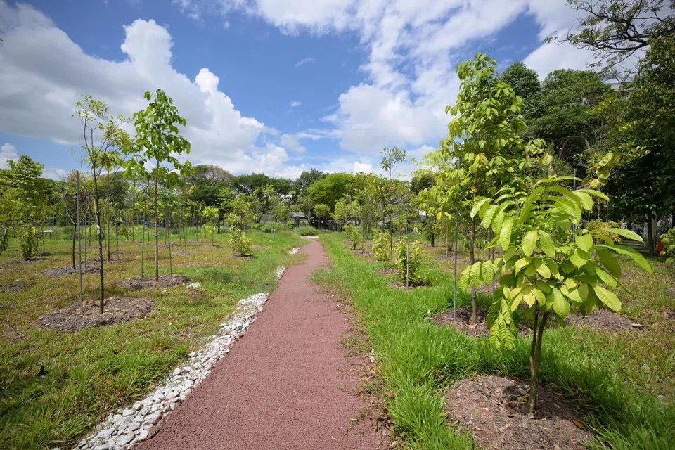 Taman Jurong Oasis di Yung An Road dibuka pada 9 November. 
