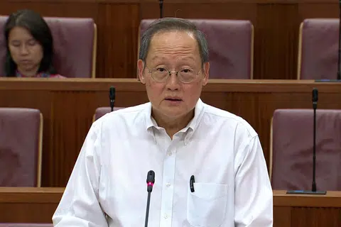 Tan See Leng, pengambilan pekerja, pasaran kerja, parlimen