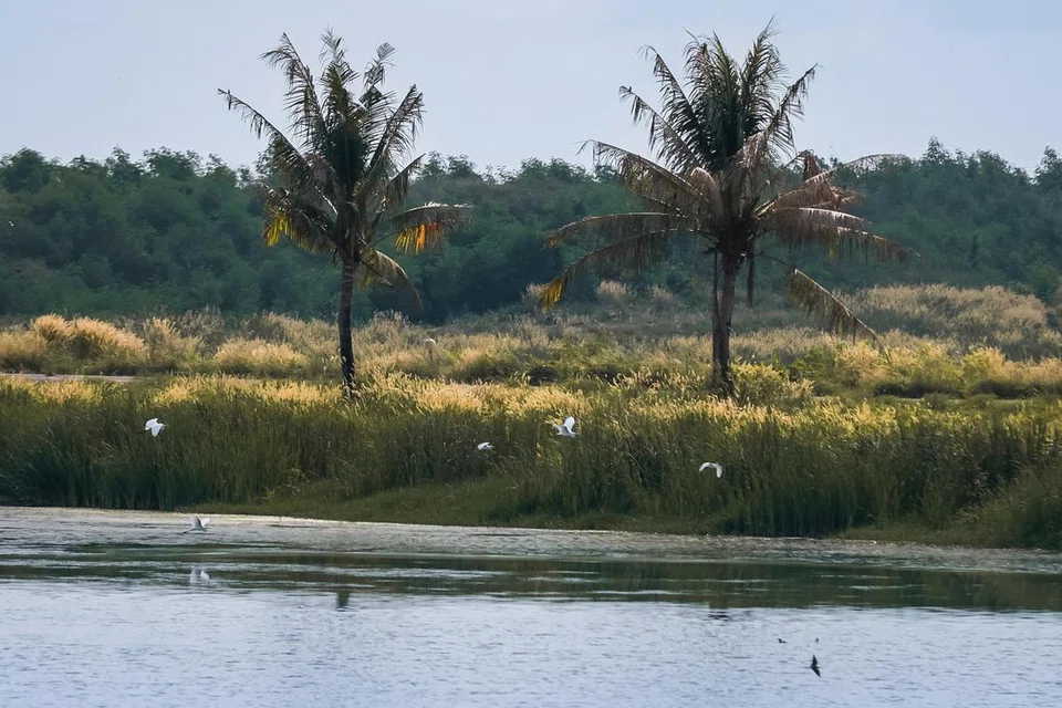 Pulau Semakau hari ini menjadi tempat pembuangan sampah yang penting dalam proses pengurusan sisa Singapura.