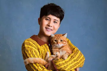 Ceddy Ang, Asal Ada Kamu, pencipta kandungan