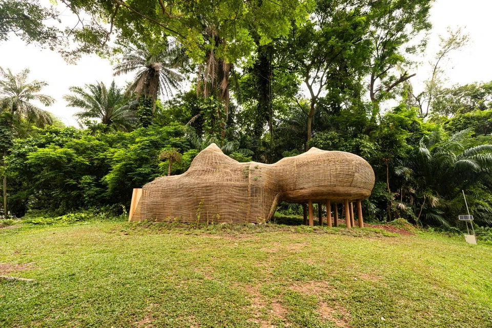 Karya seni, ‘Rattan Eco Sprawl: Manifesting the Forest’ terletak di kawasan menghijau di salah satu sudut di Spottiswoode Park, di kawasan Tanjong Pagar. Dihasilkan khusus daripada rotan, bentuk beralun itu menggabungkan unsur alam semula jadi, seperti gunung dan busut, tempat serangga bersarang.
