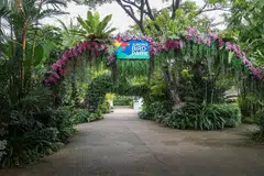 Sekilas Taman Burung Jurong