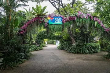 Sekilas Taman Burung Jurong