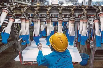 KEPENTINGAN PENGELUAR SARUNG TANGAN: Top Glove menghasilkan 220 juta sarung tangan getah pakai buang setiap hari, Nilai syarikat ini bertambah sekurang-kurangnya enam kali tahun ini (2020) - menjadikannya syarikat tersenarai kedua terbesar di Malaysia - kerana peningkatan permintaan sarung tangan yang banyak sewaktu pandemik ini. Namun, 28 kilangnya terpaksa ditutup beransur-ansur menyusuli peningkatan kes jangkitan Covid-19 dalam kalangan pekerjanya. - Foto AFP