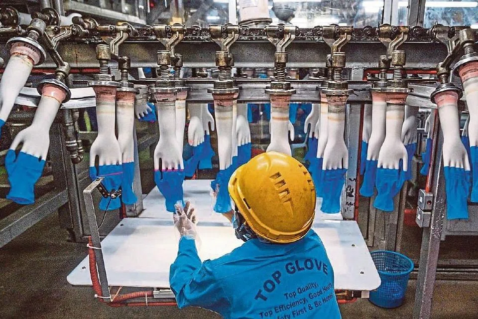 KEPENTINGAN PENGELUAR SARUNG TANGAN: Top Glove menghasilkan 220 juta sarung tangan getah pakai buang setiap hari, Nilai syarikat ini bertambah sekurang-kurangnya enam kali tahun ini (2020) - menjadikannya syarikat tersenarai kedua terbesar di Malaysia - kerana peningkatan permintaan sarung tangan yang banyak sewaktu pandemik ini. Namun, 28 kilangnya terpaksa ditutup beransur-ansur menyusuli peningkatan kes jangkitan Covid-19 dalam kalangan pekerjanya. - Foto AFP