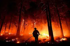KESAN PERUBAHAN IKLIM: Anggota bomba Kern County, California berusaha mencegah api daripada merebak sedang kebakaran hutan mara ke arah kawasan kediaman berhampiran. Kebakaran telah memusnahkan lebih dari 20,000 ekar hutan sambil mengancam rumah di sekitar kawasan tersebut.- Foto AFP