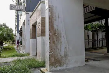 KURANG INDAH DIPANDANG MATA: Kulat yang tumbuh di luaran bangunan HDB di Matilda Court, Sumang Lane, kurang disenangi penduduk yang telah memuatnaik gambar ke media sosial. - Foto ZAOBAO