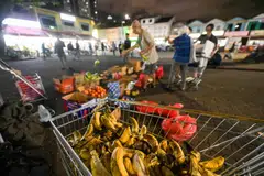 Pisang yang lebam biasanya tidak dipilih pelanggan. Tetapi bagi relawan Little India Veggie Collection, pisang ini masih boleh dimakan atau digunakan untuk membuat kek. 