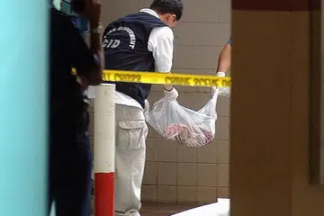 FOTO HIASAN
