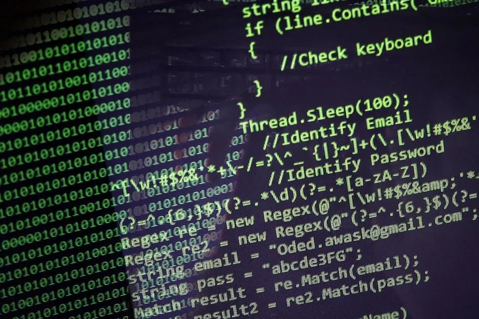 ANCAMAN BESAR: Penjenayah siber mampu menimbulkan panik dan lebih buruk lagi mencuri identiti, rahsia pemerintah dan wang menerusi serangan DDoS yang dilakukan. - Foto fail