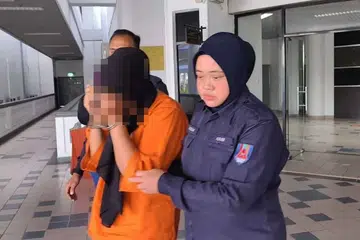 ejen insurans, reman, gambar bogel, madu