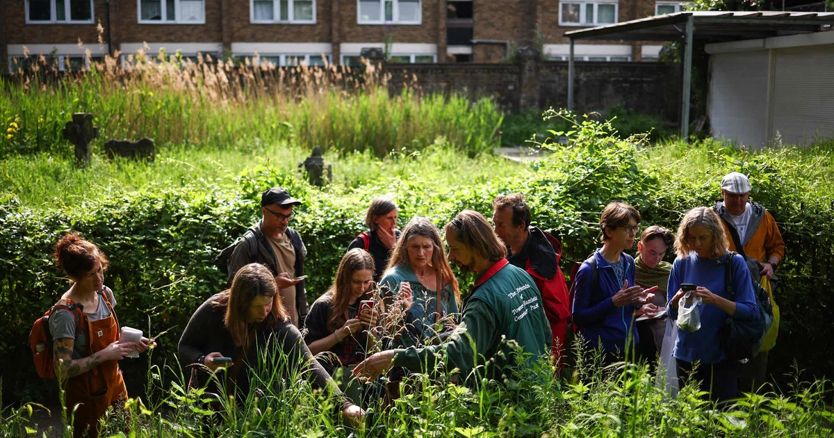Hunting for edible plants with London's urban foragers - The Business Times