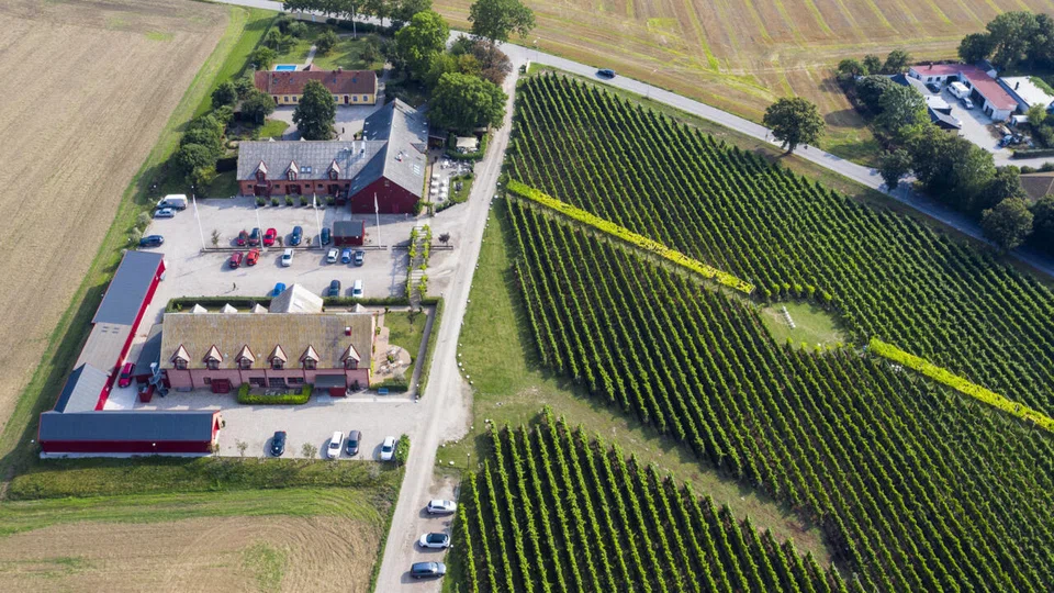 Sweden's vineyards are aiming to make their mark in the wine world.