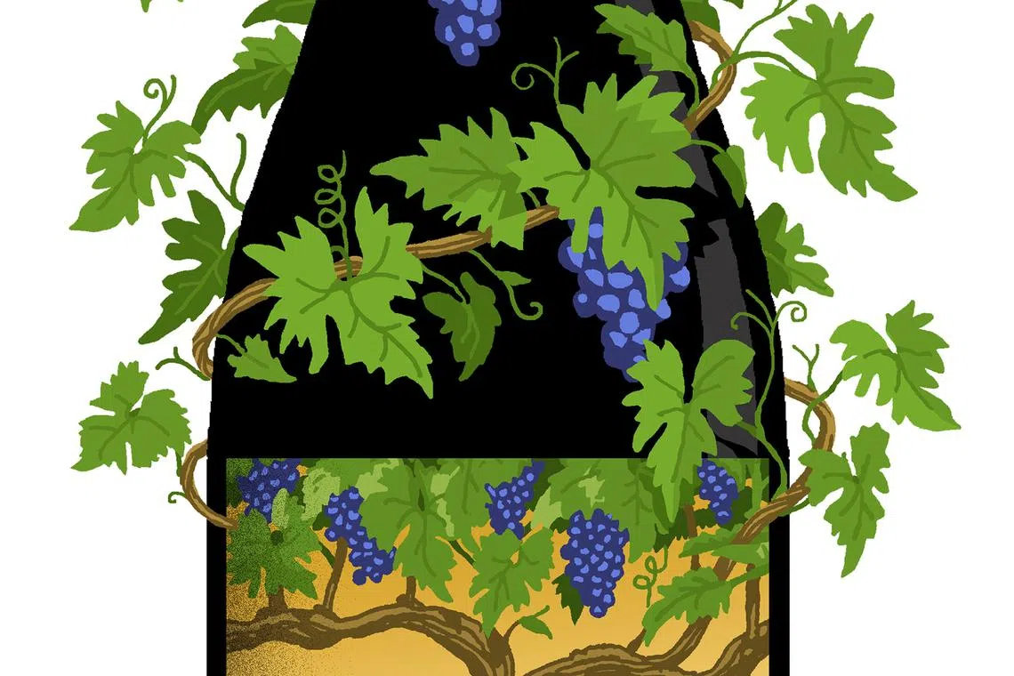 Sales are down and health concerns are up, but wineÕs history of providing beauty, joy and affirmation should not be forgotten. (Craig Frazier/The New York Times) Ñ FOR EDITORIAL USE ONLY WITH NYT STORY POUR WINE JOY BY ERIC ASIMOV FOR JUNE 25, 2024. ALL OTHER USE PROHIBITED. Ñ