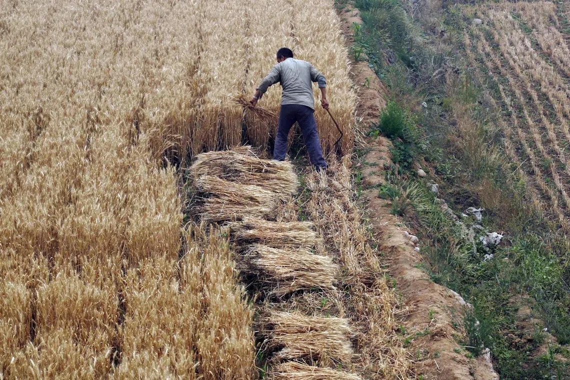 The lower cost to decarbonise the agri-food sector is in large part due to the relatively low capital expenditure of the solutions and their high technological readiness level, the report says.