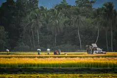 Asia-Pacific may be drawing investors with the growth of green business in the region, according to MSCI.