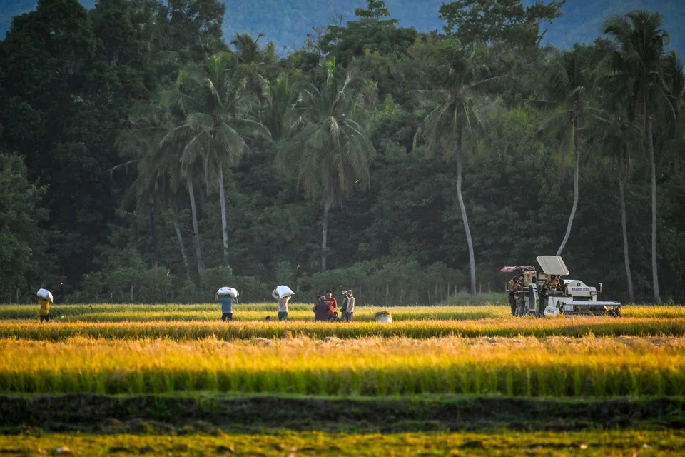 Asia-Pacific may be drawing investors with the growth of green business in the region, according to MSCI.