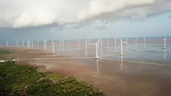 A wind farm in Bac Lieu province, Vietnam. The uneven distribution of energy resources and demand across South-east Asia remains a factor for policymakers across the region to consider. 