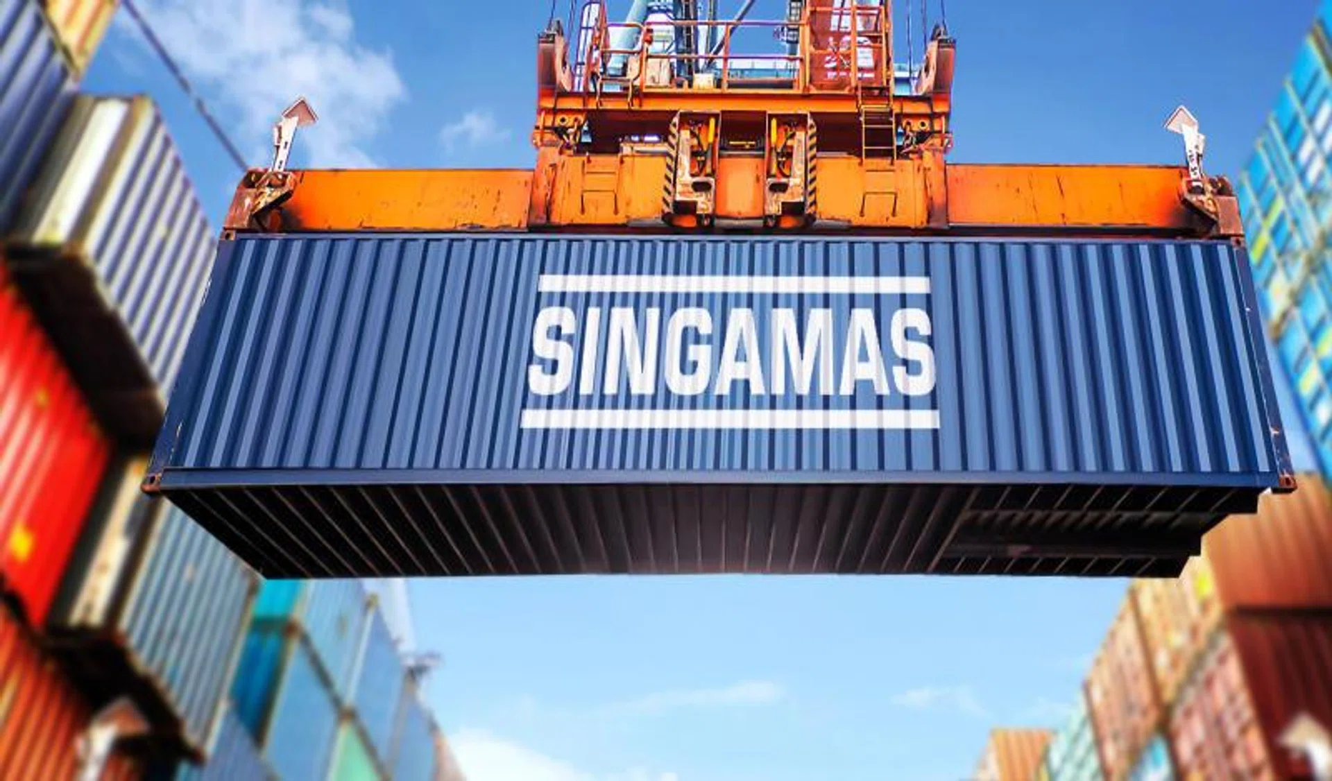 Singamas and other alleged container cartel members could fa
