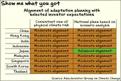 Most major markets in Asia lack consistent climate adaptation plans, says a prominent climate-focused investor group.