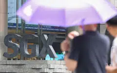 Beyond climate reporting, the market can also drive broader corporate governance reforms.