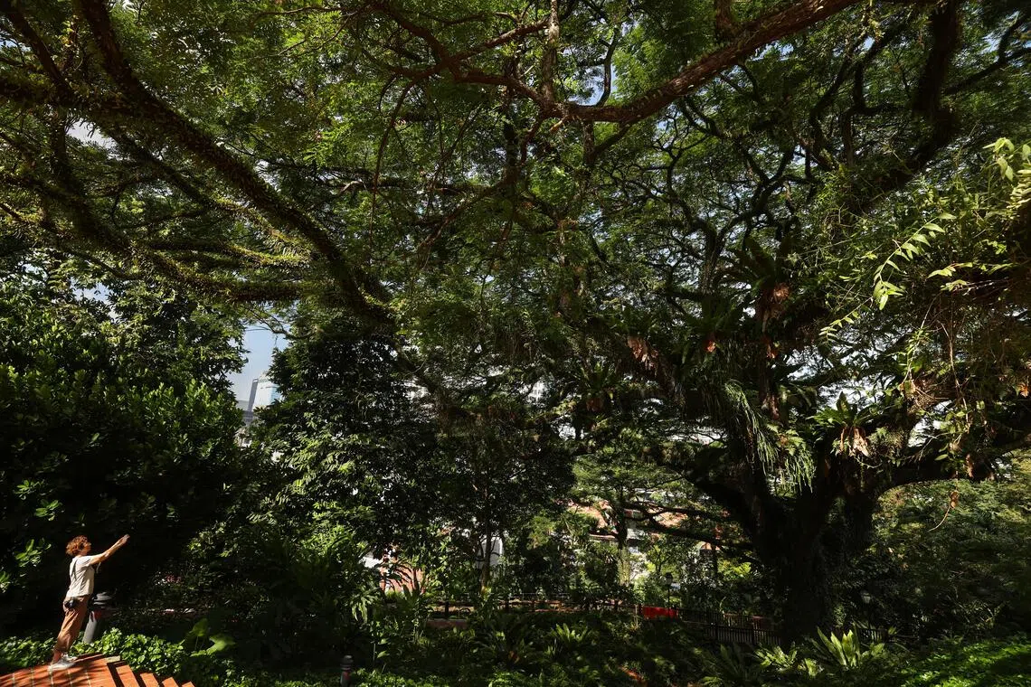 Under Singapore’s decarbonisation plan, the government is aiming to peak its own emissions around 2025, and achieve its net-zero target around 2045.