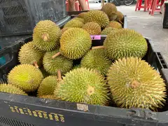 The wholesale price of Musang King plunged to RM30 and below, as at Jun 6, due to inconsistent quality and lower demand.