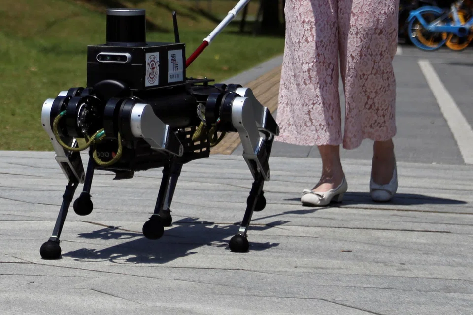 Unlike traditional service animals, which are naturally limited in supply, robot guide dogs can be manufactured at scale in China to meet the needs of almost 20 million people. 